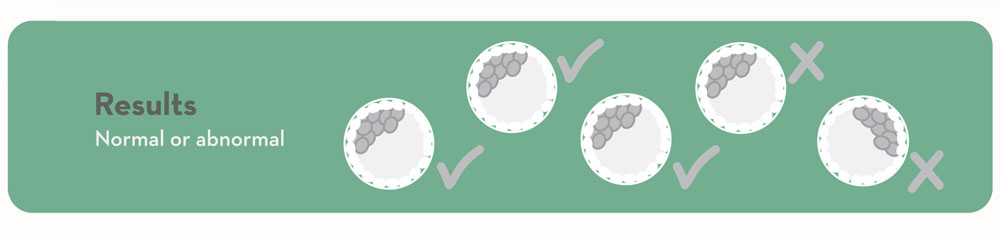 Normal or Abnormal Results